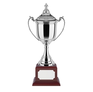 *SALE CLEARANCE* Slim Gold Presentation Cup Trophy FREE Engraving cycling swim 