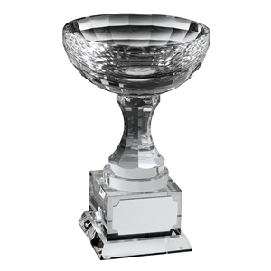 Swatkins Crystal Cup - AC60