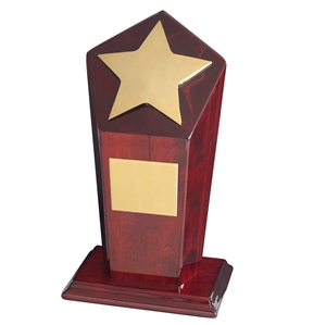 Piano Wood Gold Star Award - TZ009