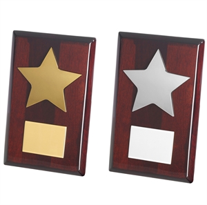 Piano Wood Star Plaque Gold or Silver- TZ011