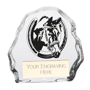 Mystique Equestrian Glass Award - CR22247