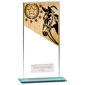 Mustang Equestrian Jade Glass Award - CR22215