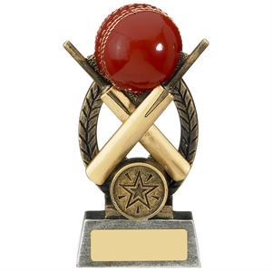 Escapade Cricket Trophy - RC452D