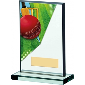 Vivid Colour Glass Cricket Award - 204
