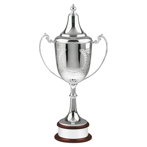 The Champions Silver Plated Cup - L554