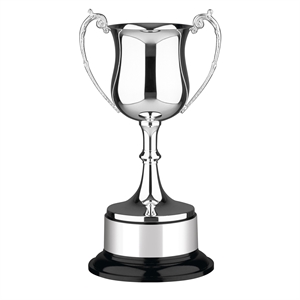 Silver Plated Georgian Prestige Cup - 446/TB35
