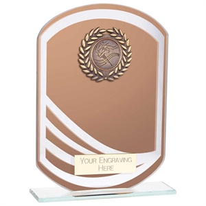 Argon Mirror Glass Award Bronze - CR23578