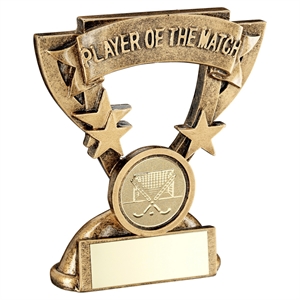 Star Cup Hockey Player of the Match Award - JR18-RF828