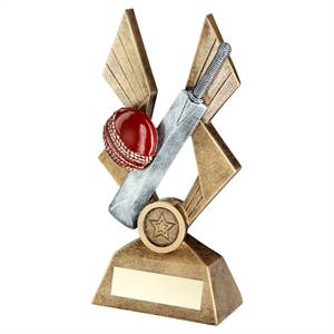 Pegasus Cricket Award - RF396