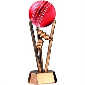 Bradman Cricket Award - RF20
