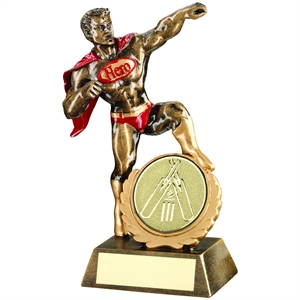 The Hero Cricket Award - JR6-RF541