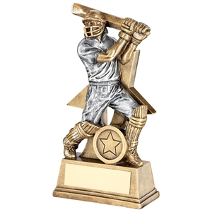 Enzo Star Cricket Batsman Award - RF176