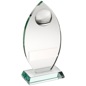 Punta Glass Cricket Award - TD446