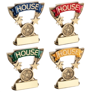 Star Cup School House Colours Award - RF800 All Colours