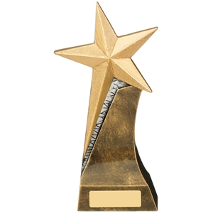 North Star Award - RM722