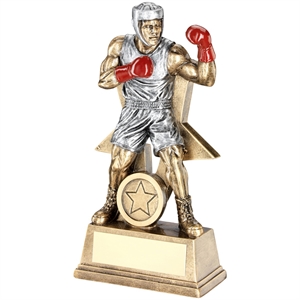 Enzo Star Boxing Award - RF170