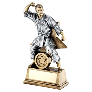 Enzo Star Male Martial Arts Award - RF185