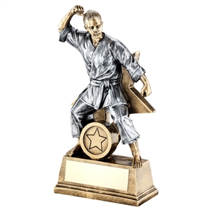 Enzo Star Female Martial Arts Award - RF186