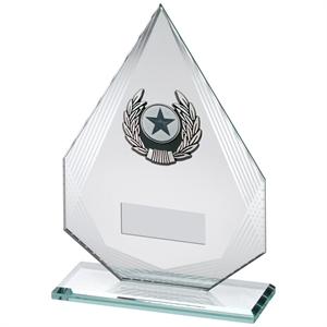 Acer Multisport Glass Award - JR17-TY165