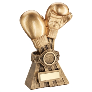 Knockout Gold Boxing Award - RF660