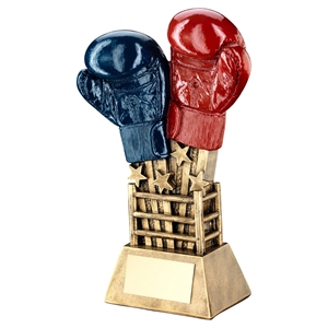 Punch! Boxing Gloves Award - RF640