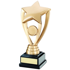 Accolade Star Award - RF16