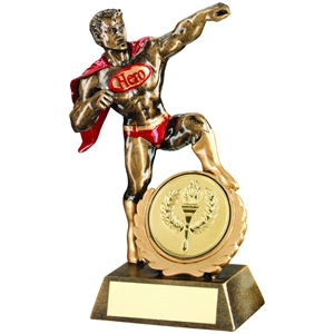 The Hero Male Award - JR9-RF541