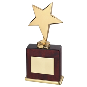 Bright Finish Gold Star Award - TZ005G