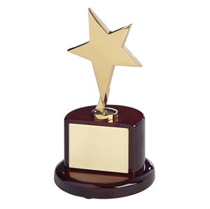 Bright Finish Gold Metal Star Award - TZ006G