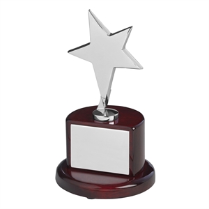 Bright Finish Silver Metal Star Award - TZ006S