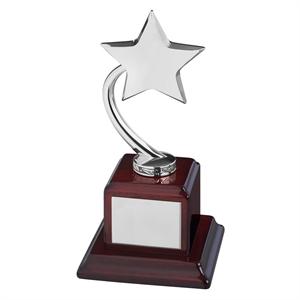Bright Finish Silver Shooting Star Award - TZ002S