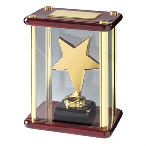 Bright Finish Star Case Award Gold - TZ001G