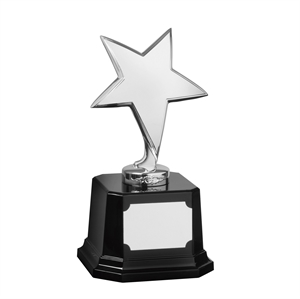 Bright Finish Star Award Silver - SZ031S