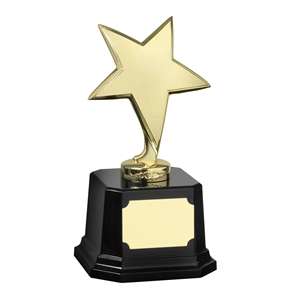 Bright Finish Star Award Gold - SZ031G