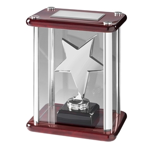 Bright Finish Star Case Award Silver - TZ001S