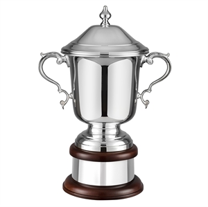 The League Champions Silver Plated Cup - L460
