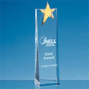 Optical Crystal Rectangle with Gold Star Award - FC188
