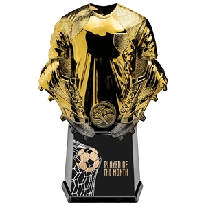 Invincible Shirt Football Player of the Month Award Gold - PX24341D