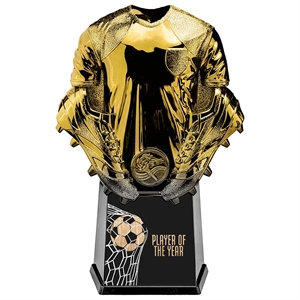 Invincible Shirt Football Player of the Year Award Gold - PX24333D