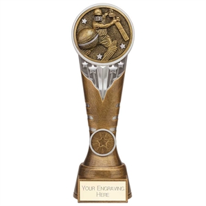 Ikon Tower Cricket Batsman Award - PA24158