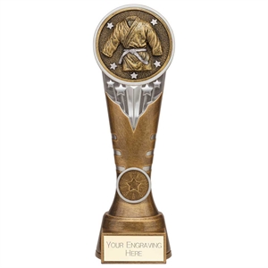Ikon Tower Martial Arts Award - PA24232