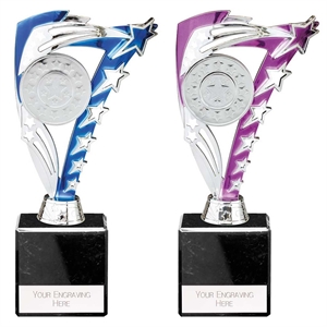 Frenzy Multi-Sport Trophy Blue or Purple - TR24511/ TR24513