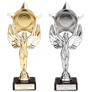Victory Star Multi-Sport Trophy Gold or Silver - TR24504/ TR24505