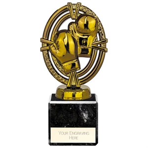 Maverick Legend Boxing Award Small - TH24103A