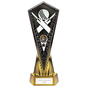 Inferno Cricket Award Gold & Black - PA24029A